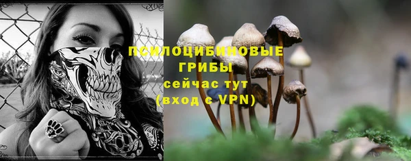 прущий лед Арсеньев