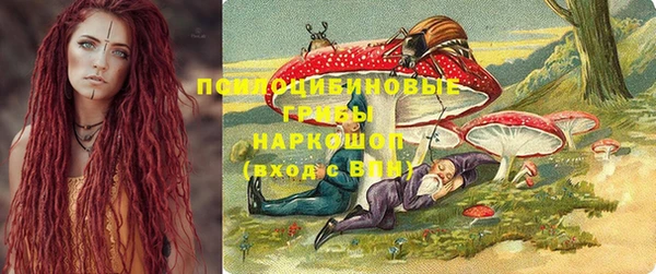PSILOCYBIN Армянск