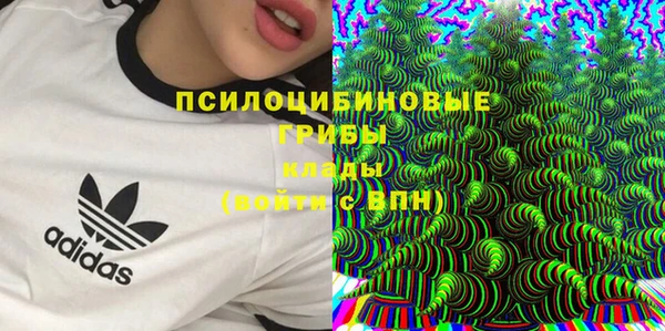 прущий лед Арсеньев