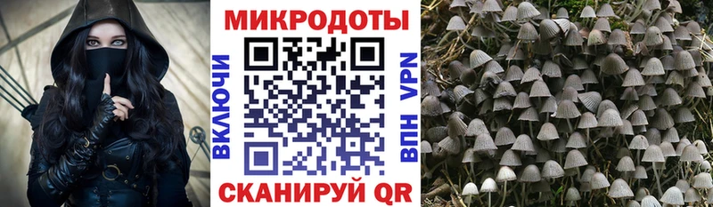 Псилоцибиновые грибы мицелий  Видное 